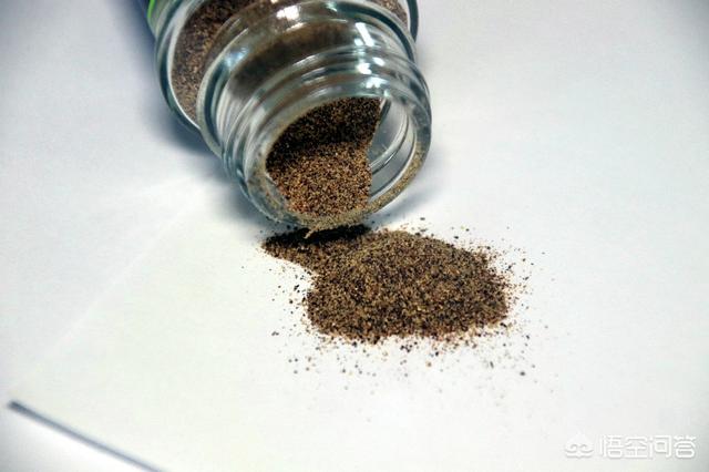 黑胡椒粉和白胡椒粉(黑胡椒粉和白胡椒粉的区别)