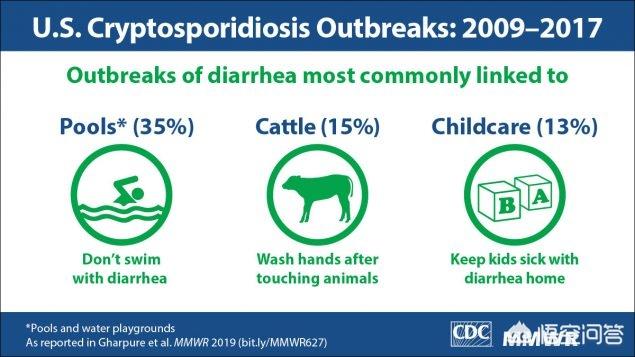 隐孢子虫病:近年来美国公共泳池的“crypto”寄生虫疫情如何发展？