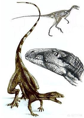 普鲁斯鳄穿越到恐龙时代的结果:科学家说恐龙的祖先，是一种水蜥蜴进化而来的，是真的吗？