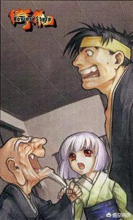 侍魂 易(侍魂易多少钱)