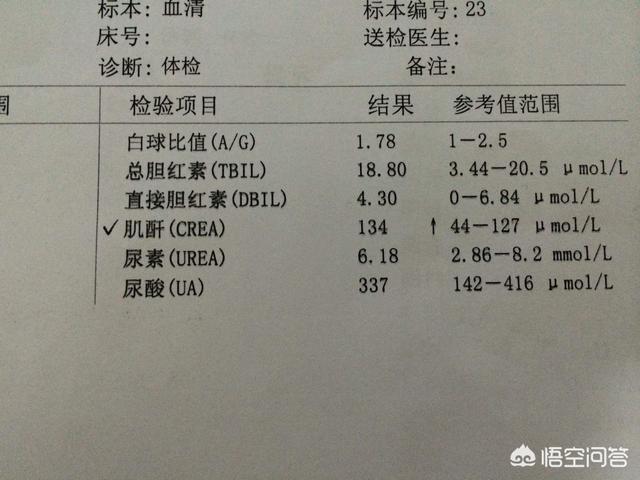 尿酸过高是尿毒症前兆吗:痛风患者，尿酸升高时，是不是肌酐也会跟尿酸一起升高？