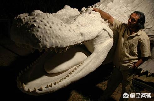 普鲁斯鳄:同样作为“史前巨鳄”，普鲁斯鳄与恐鳄谁更强