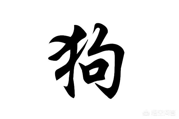 狗嬲的:狗有狂犬病的概率是多少？