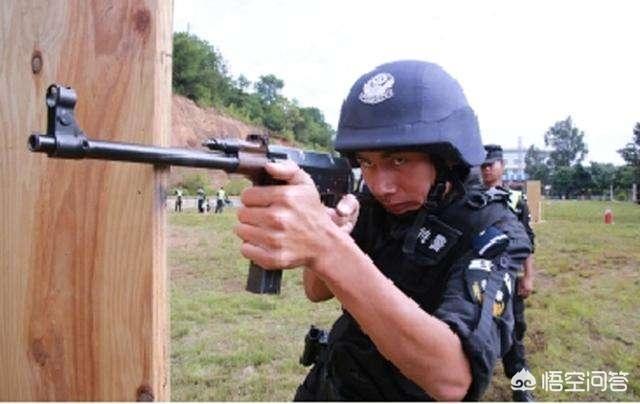 如何训练狗中枪倒地:如何训练泰迪狗 死刑犯被枪决时，为何一定要跪在地上？是不是因为害怕他们逃跑？