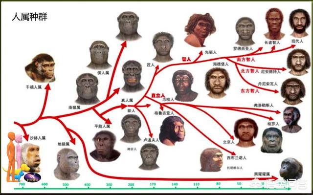 罗德西亚人:西方学者为什么说人类起源于非洲？是文化自卑还是自信的体现？