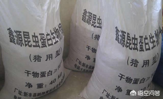 黄粉虫的养殖技术:有没有养黄粉虫的技术资料？