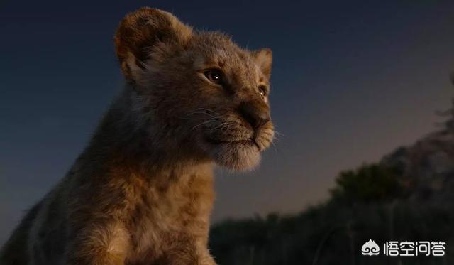 《疯狂动物城》真实版将要来临？，如何看待迪士尼翻拍真人版《狮子王》？