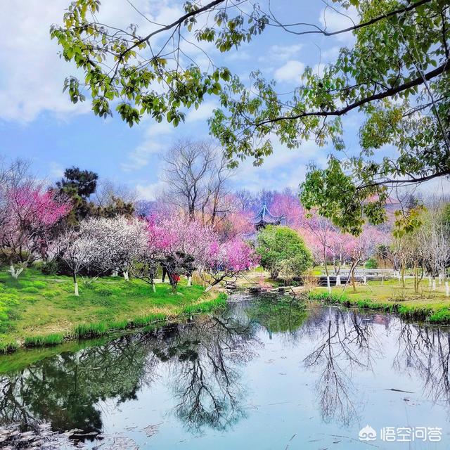 为什么说“人间四月芳菲尽,山寺桃花始盛开”？