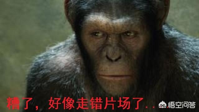 罗盘打探灵异事件:有哪些稀奇的古代故事值得分享？