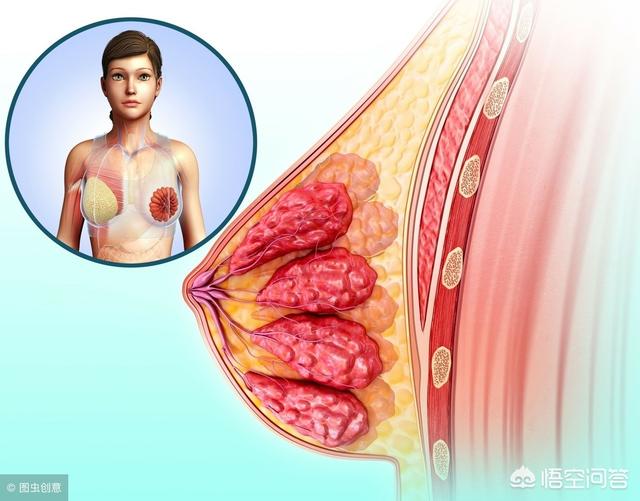 急性乳腺炎吃什么药止痛:急性乳腺炎吃什么药止痛 急性乳腺炎，该怎么缓解？