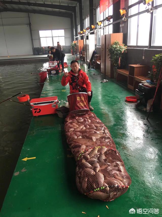 鱼饵料:鱼饵料怎么配不容易散 钓无鳞鱼，大家用什么饵料呢？