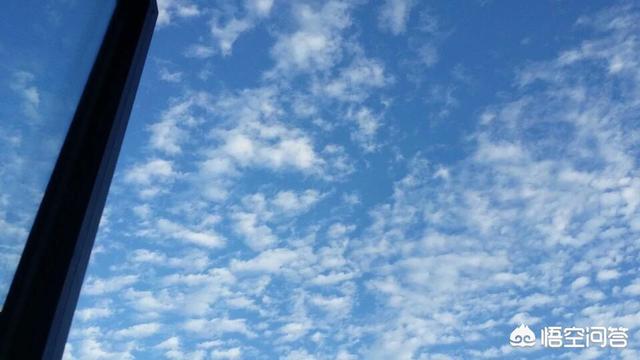 秋田犬蓬夫1080:什么东西是生不带来，死不带去的？ 秋田犬蓬夫在线观看