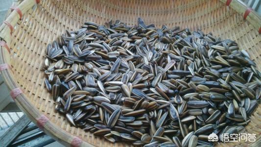 土豪吃过带壳的海鲜都是什么？