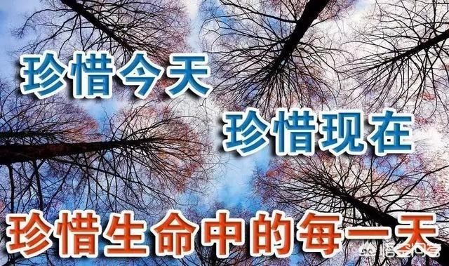 女人一辈子演员表:一个女人的一生，应该做好哪几个角色？