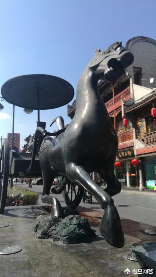 带宠物鸭扫大街萌翻网友:为什么摄影师都喜欢往四川跑？