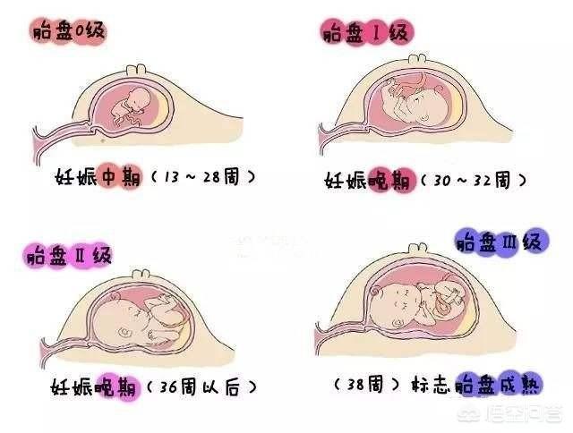 密春雷双胞胎多大了:喜欢成熟的女人，是心理问题吗？
