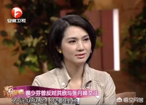 莫少聪洪欣:张丹峰送洪欣脑白金你怎么看