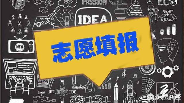 2019高考志愿如何填报？ 高考志愿填报 第1张