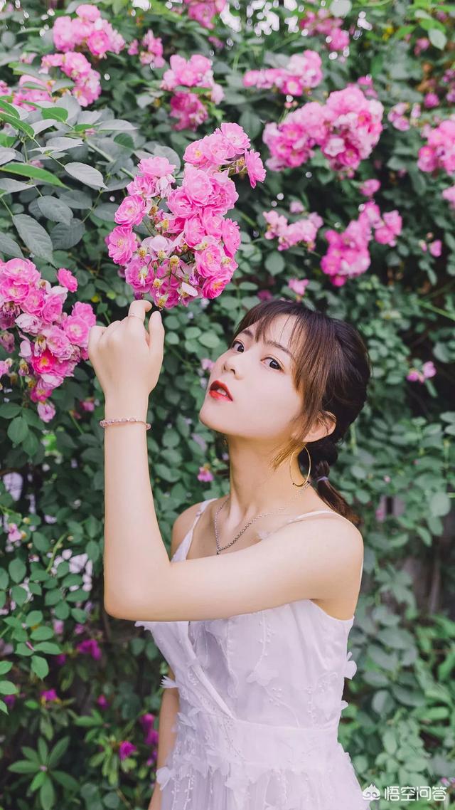 九妹网站:做三农的有几个能日入过万的！乡村小乔！巧妇九妹都超过吗？