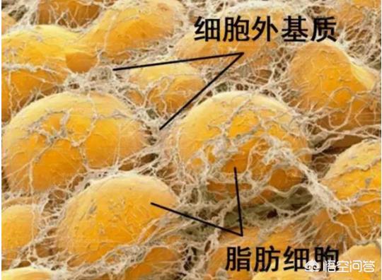舒畅的胸:保持心情愉快真的能减轻乳腺疾病吗？