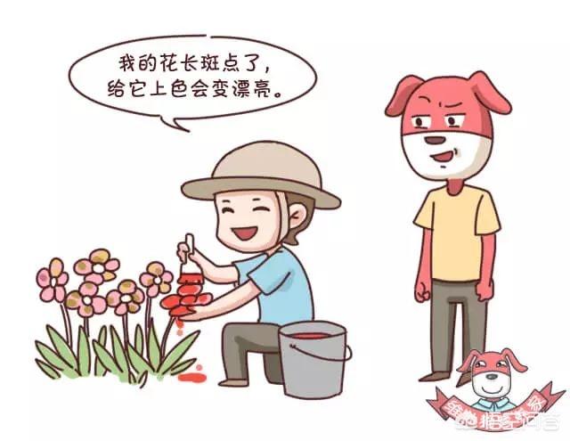 脸黄是什么原因(脸黄是什么原因该怎么调理)