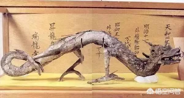昆仑山真龙吃人的照片，日本瑞龙寺真龙标本为什么不用DNA鉴定来验证标本的真假