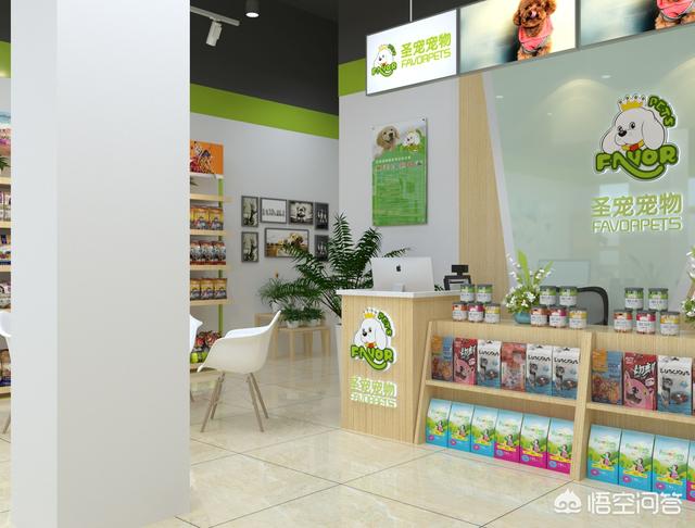 long pets宠物店加盟:开一家宠物店都需要什么手续？