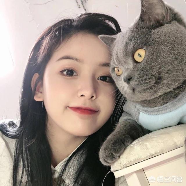 你们知道为爱情撕心裂肺的感觉是什么吗？