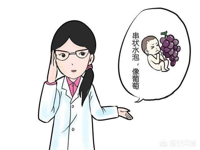 葡萄胎是怎么形成的:去年怀孕时是葡萄胎，手术多久后才能怀孕