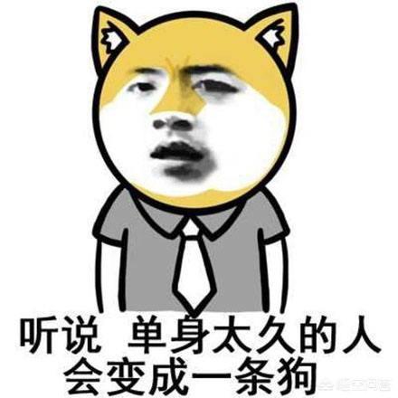 母胎solo:母胎solo且毫无暧昧对象是一种什么体验？