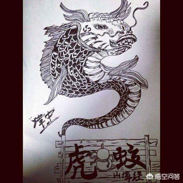 象鱼:象棋 黄蜡石品质好的，能成为下一个新宠吗？