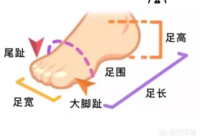 绑带高跟鞋图片大全:蝴蝶绑带高跟鞋 脚胖适合什么样的高跟鞋（夏天 ）？