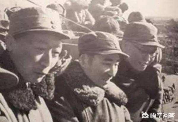 鄢波被砍:期待爱情，但不向往婚姻，是为什么呢？