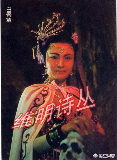 释小龙主演的电视剧:有哪些当年很火的电视剧，现在鲜有人提起