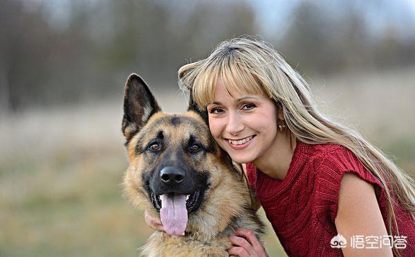 上虞德国牧羊犬论坛:德国牧羊犬，“纯种犬”和“串串犬”如何区分？