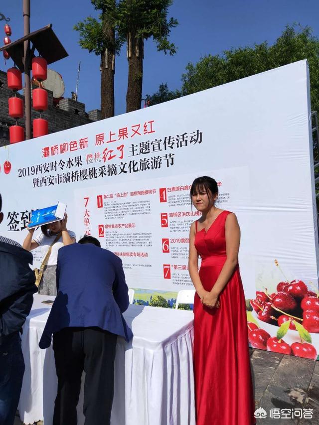 白鹿原樱桃(白鹿原樱桃谷)