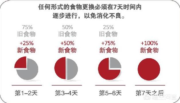 萨摩狗粮怎么喂:有没有萨摩的养育经验可以传授一下？