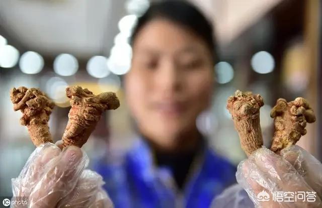 三七粉的作用与功效,三七粉有什么功效与作用与禁忌？