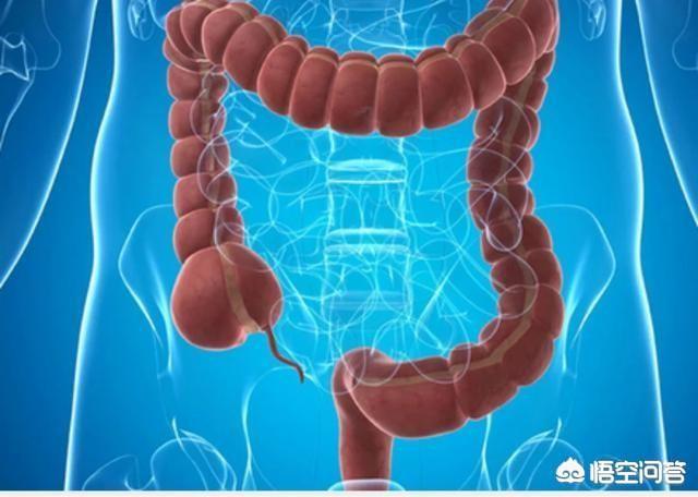 肠梗塞会腹泻:拉肚子的根本原因是什么？