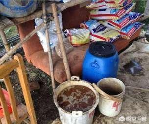 酵素菌生物肥的生产:酵素和菌肥的区别是什么？