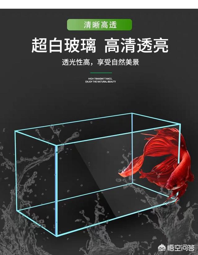 水族箱制作:鱼缸制作需要用到什么工具？