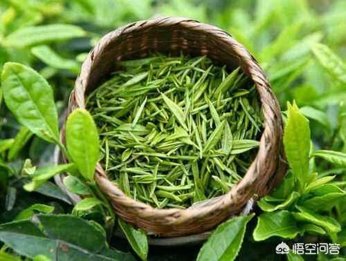 黄山毛峰和信阳毛尖哪个更好，中国最好的茶叶是信阳毛尖吗