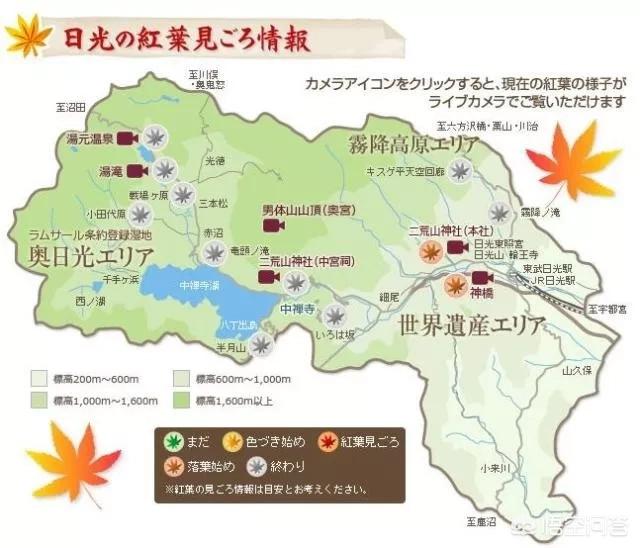 八公像在日本东京涩谷车站:东京周边有哪些小众旅行地？