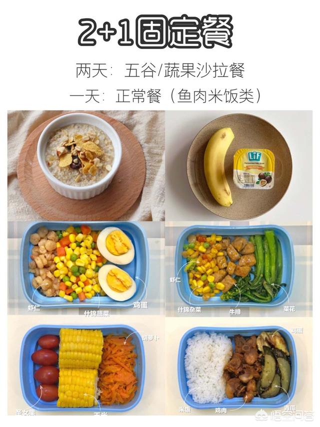 黄油猫悖论:哪种方法能快速减肥又不反弹呢