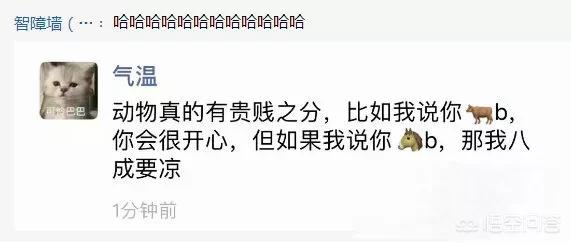 你收藏过哪些沙雕笑话,当时让你笑出眼泪的那种,可以分享一下吗？