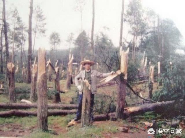 灵异事件国家高级机密，贵州空中怪车事件真是地外文明所致吗