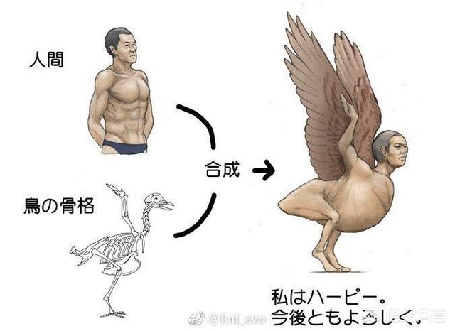 陆地有大象，海里有鲸鱼，为什么天上很少有比人体型更大的生物？