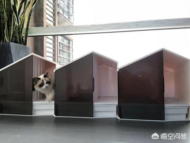 lovecat 植物猫砂:准备养一只猫，猫砂盆方面选择有哪些技巧？如何挑选？
