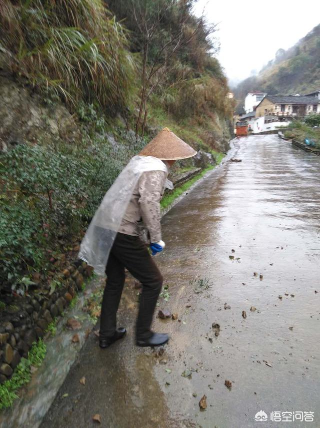有什么男士控油防晒？
