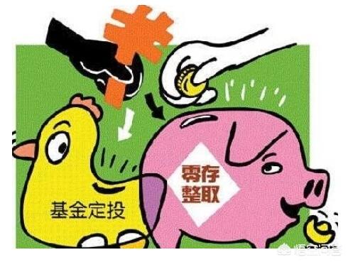 15年定投什么基金？